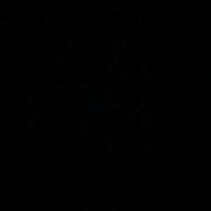 Meet your Posher, Mia